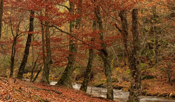 6 rutas de senderismo muy cerca de Madrid para hacer en otoño