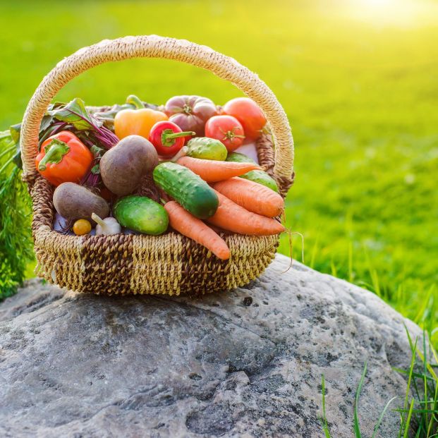 Barcelona será la capital mundial de la alimentación sostenible en el año 2021 Barcelona será la capital mundial de la alimentación sostenible en el año 2021