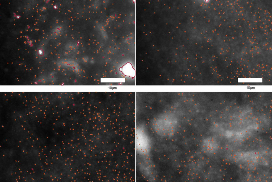 Screenshot 2025 09 25 at 17.50.25 (1) Screenshot 2025 09 25 at 17.50.25 (1)