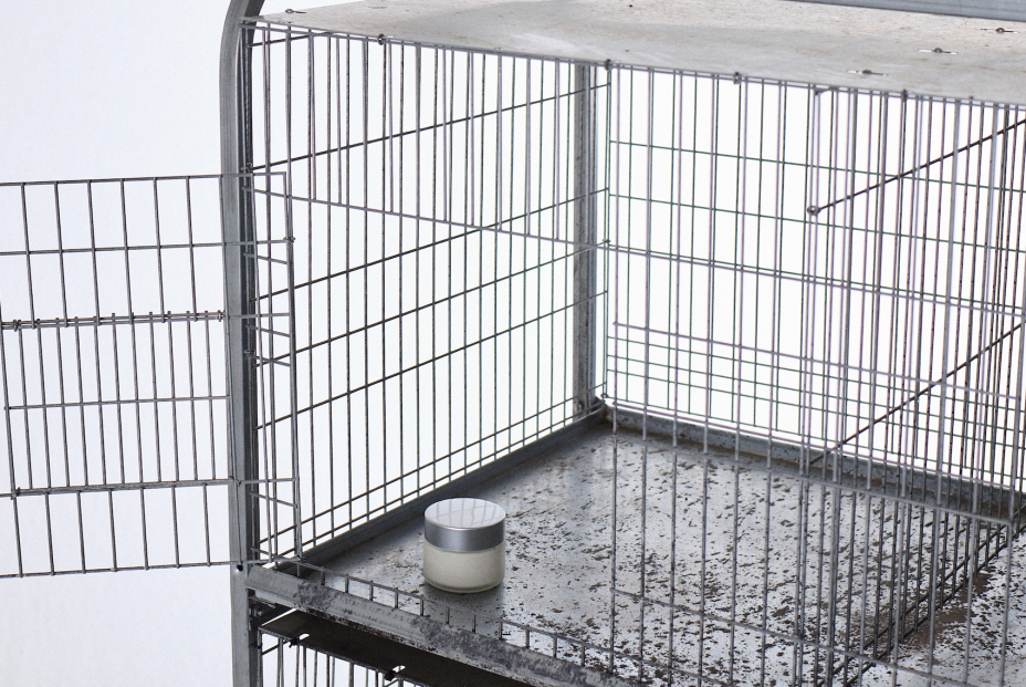 La campaña de la Fundación Grandes Amigos reúne 10.000 firmas contra el edadismo cosmético La campaña de la Fundación Grandes Amigos reúne 10.000 firmas contra el edadismo cosmético