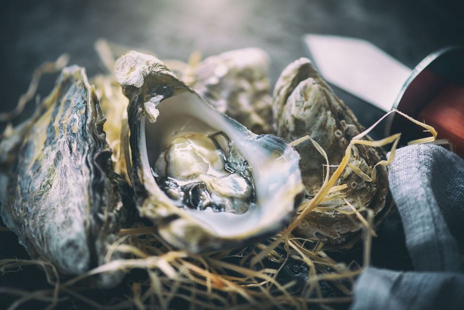bigstock Fresh Oysters close up with kn 277142233