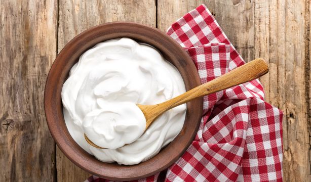 Recuperan una receta tradicional que usa hormigas para hacer yogur