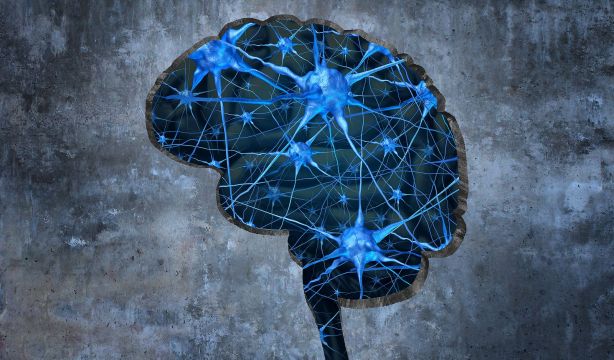 Científicos españoles revierten el alzhéimer en ratones con nanopartículas. (Bigstock)