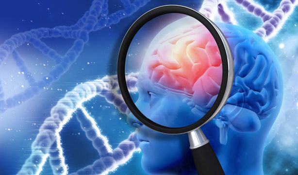 Desarrollan una herramienta que predice el riesgo de alzhéimer años antes de los primeros síntomas