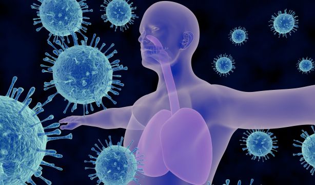 El VRS en mayores de 60 años supone una carga económica anual de 285 millones de euros