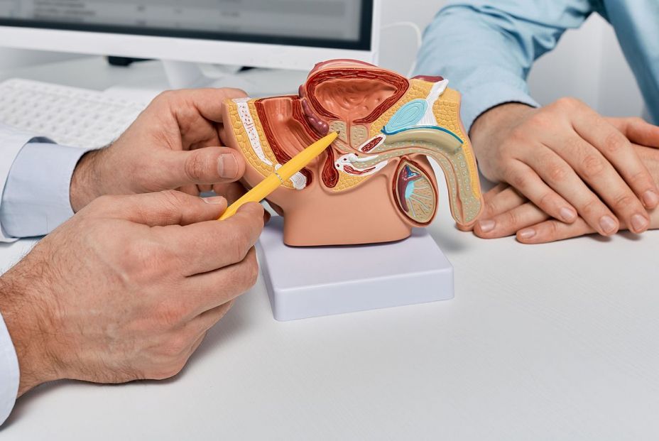 bigstock Doctor Consulting Man Patient474337709 (3) bigstock Doctor Consulting Man Patient474337709 (3)