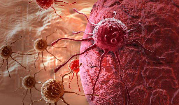 Descubren un mecanismo bacteriano capaz de destruir células tumorales