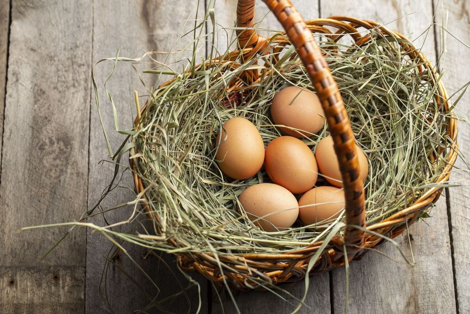 Los mayores de 65 años lideran el consumo de huevos en España