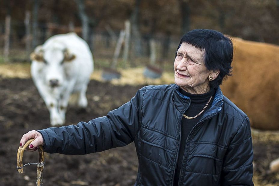 WhatsApp Image 2025 10 10 at 15.42.06