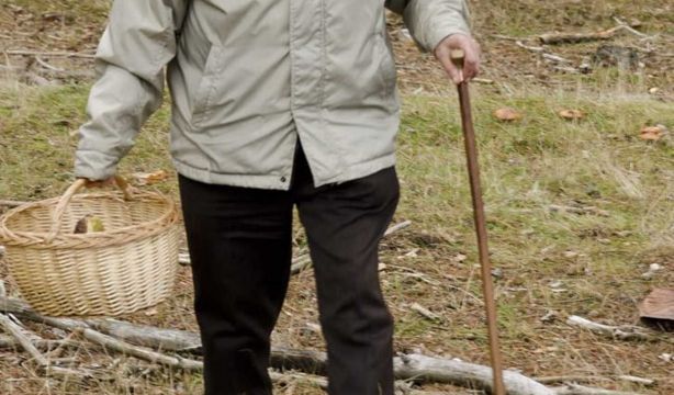 Salir a buscar setas con seguridad: consejos clave de los Bomberos. Fuente: Miriam Gómez Sanz