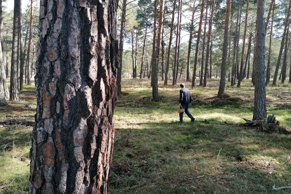 WhatsApp Image 2025 10 14 at 11.33.01