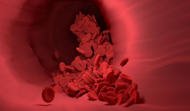 Atento a los síntomas de la trombosis: reconocerlos evita complicaciones irreversibles