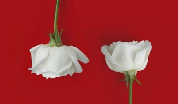 Un 'Don Juan Tenorio' "nuevo y experimental" llega al Teatro Fernán Gómez de Madrid