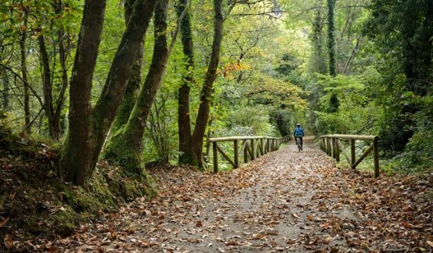 7 rutas originales para disfrutar de la naturaleza este otoño 7 rutas originales para disfrutar de la naturaleza este otoño