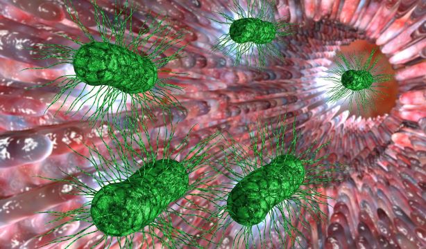 SIBO y menopausia: la conexión intestino-hormona de la que poco se habla (Bigstock)