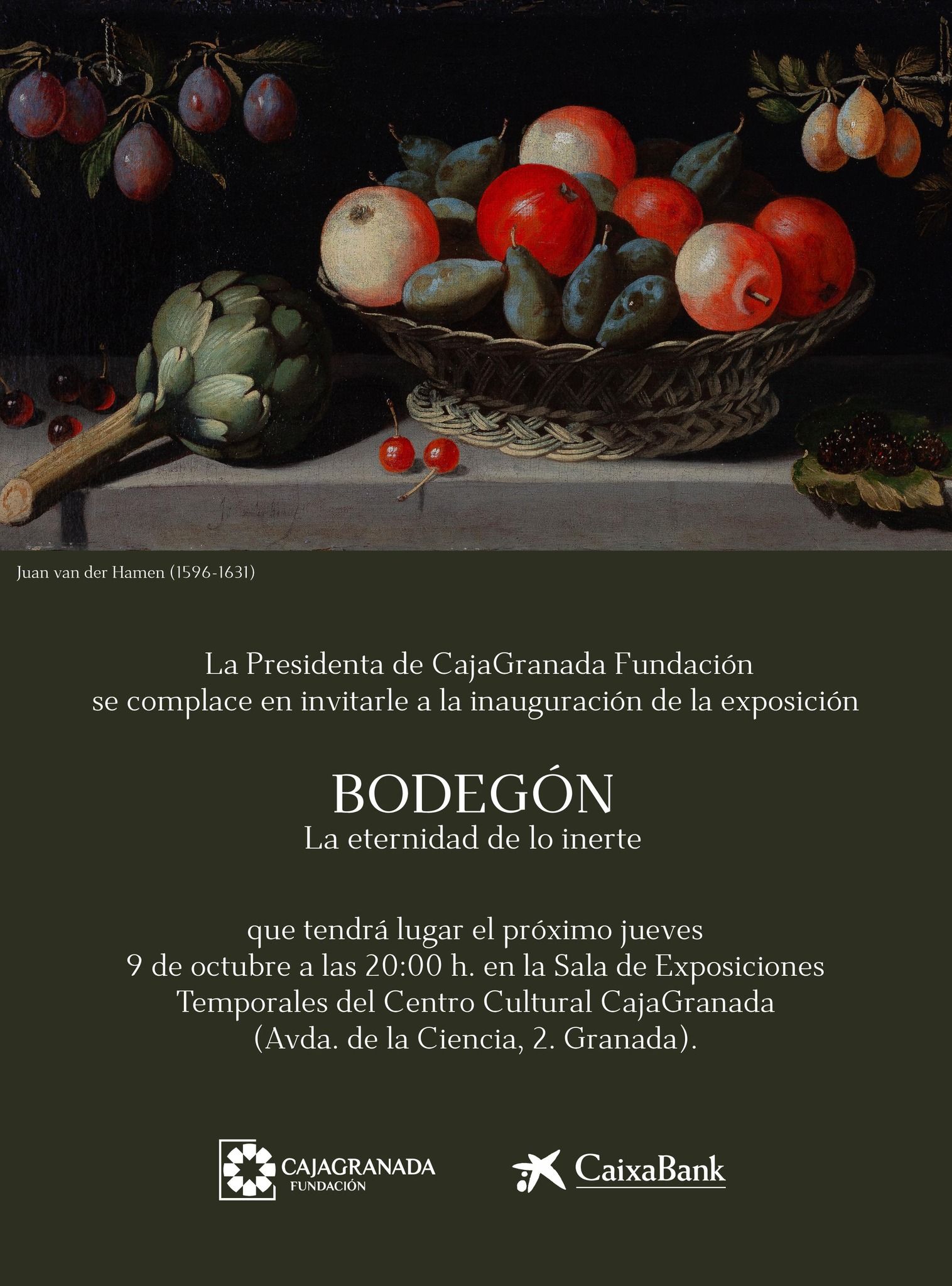 558417728 1235279111954911 6785404148399847107 n 558417728 1235279111954911 6785404148399847107 n