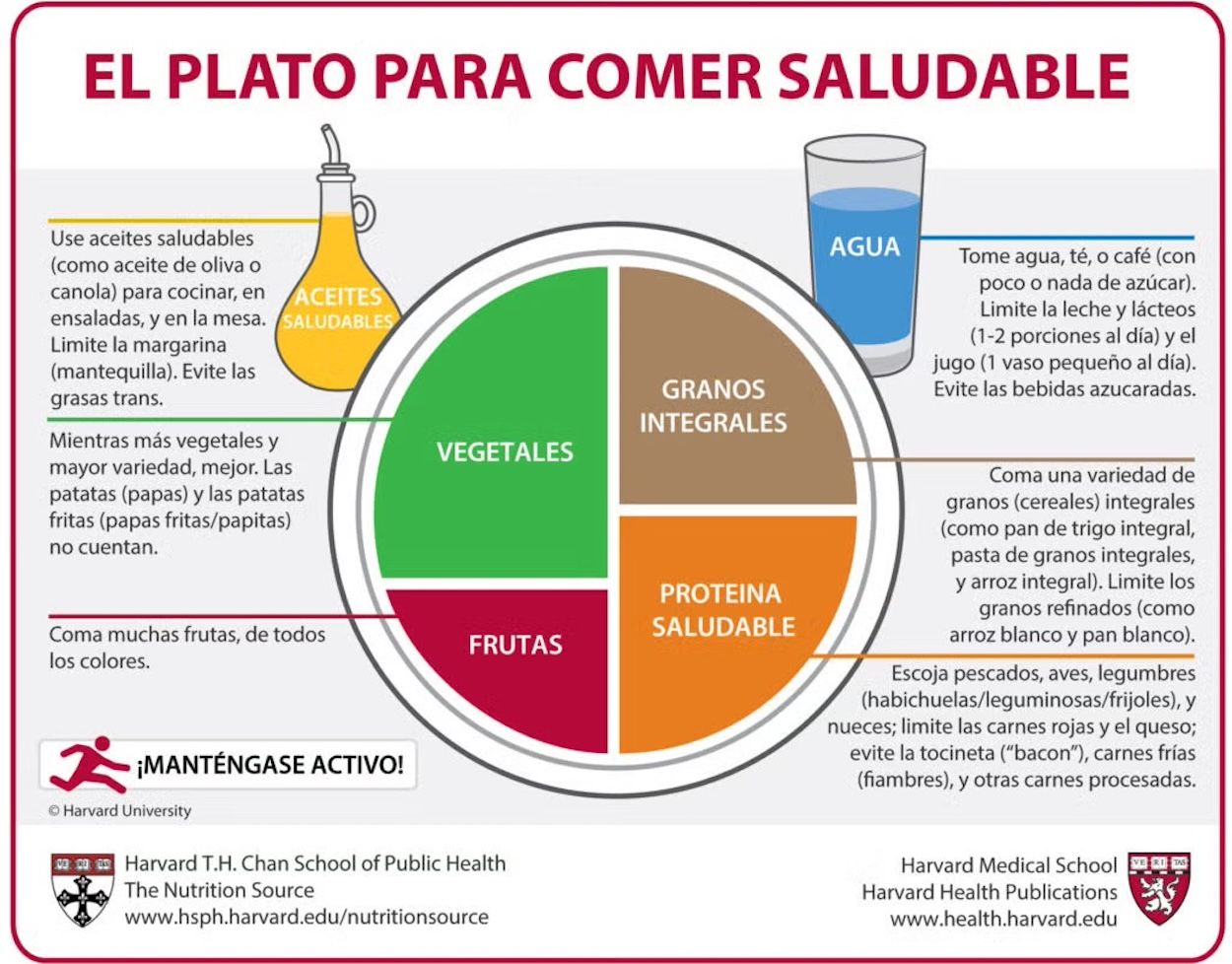 Adiós al 'plato de Harvard': desmontan el mito para comer saludable Adiós al 'plato de Harvard': desmontan el mito para comer saludable