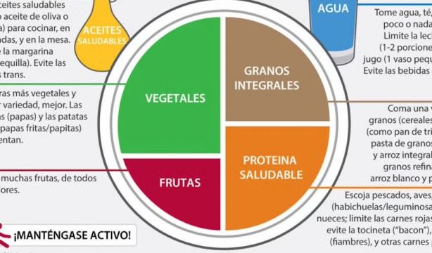 Adiós al 'plato de Harvard': desmontan el mito para comer saludable