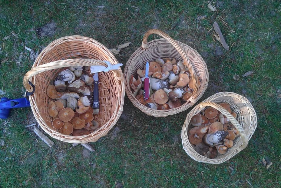 WhatsApp Image 2025 10 17 at 13.03.47