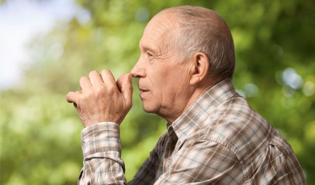 La salud del corazón, clave en la prevención del azhéimer: las razones. Foto: Bigstock.