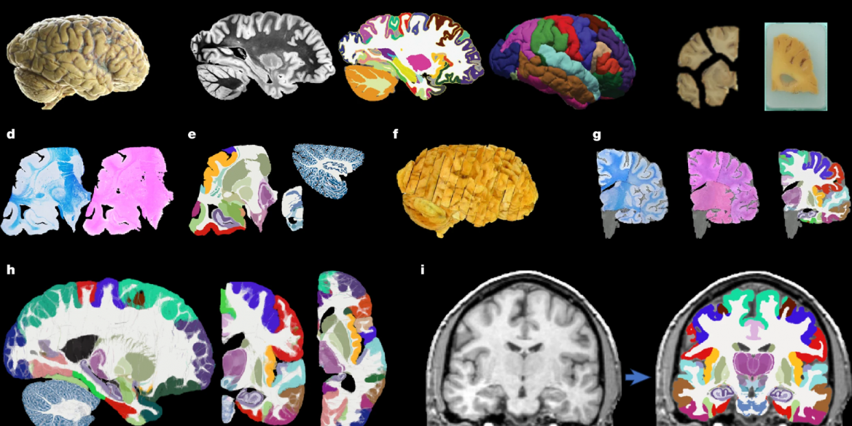 Captura de pantalla 2025 11 07 122539