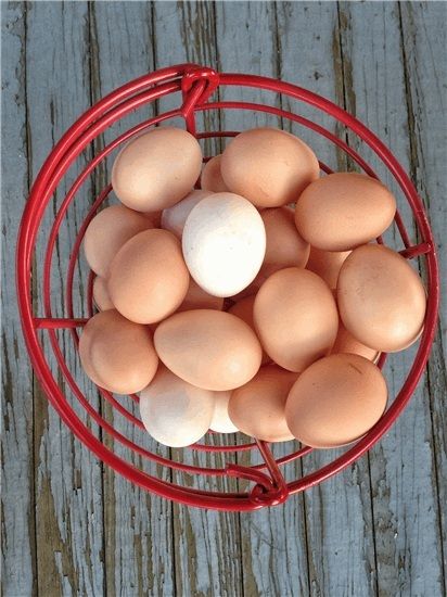 El motivo por el que ya no hay huevos blancos en los supermercados. Foto: Europa Press.