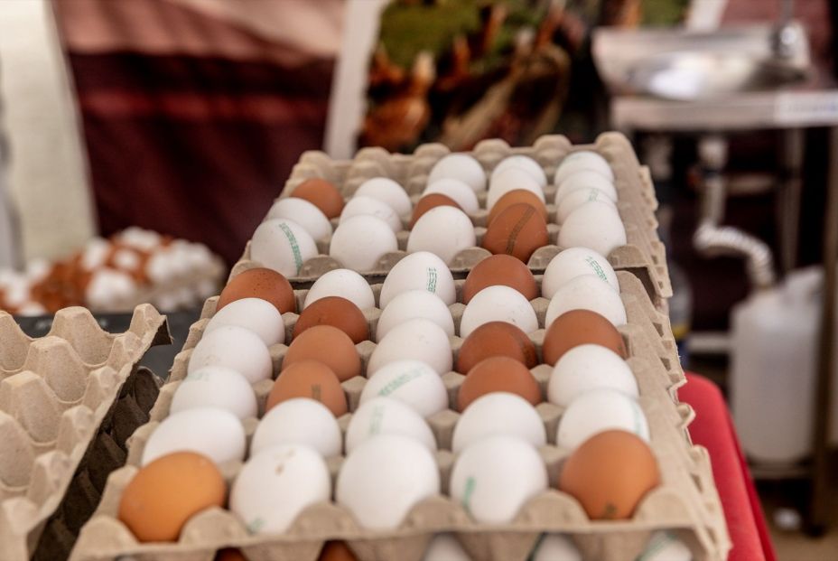 Foto: Europa Press. Foto: Europa Press.