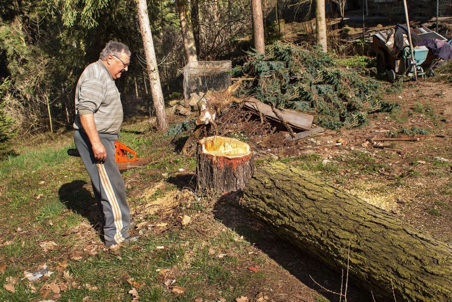 Vinculan el calor extremo con la discapacidad laboral entre los trabajadores mayores. (Bigstock)