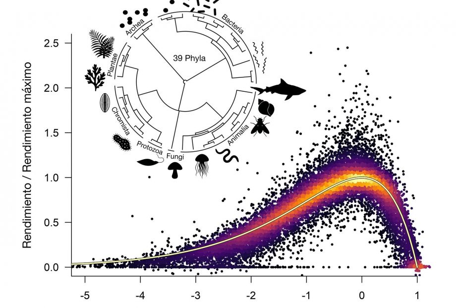 Una ecuación universal revela cómo la temperatura afecta a toda la vida en el planeta. Fuente: Europa Press.