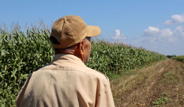 Los cuatro desafíos para los sénior rurales en la era de la longevidad