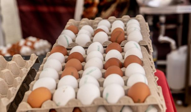 El Gobierno abre la puerta a intervenir el precio de los huevos