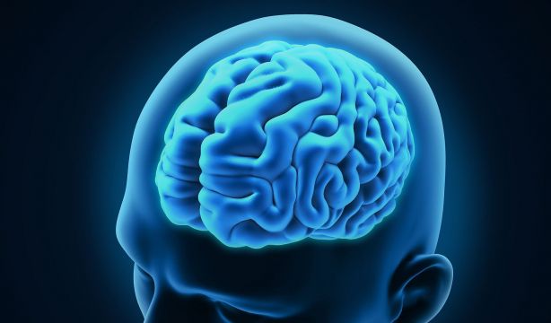 Hábitos dañinos que ponen en riesgo la salud cerebral en España. Foto: Bigstock.