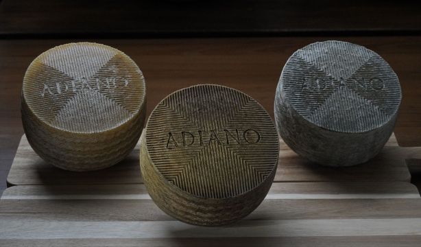 El mejor queso de España en 2025. Foto: Europa Press.