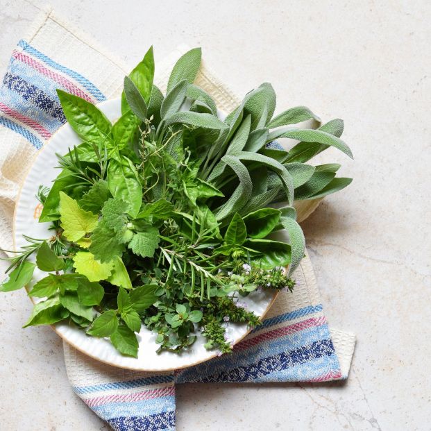 Alimentos congelados, hierbas frescas (Bigstock)