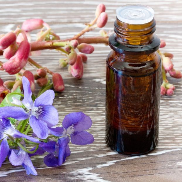 Terapias alternativas: Flores de Bach