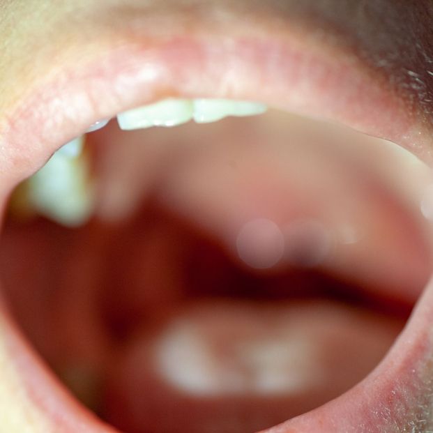 cuidar cuerdas vocales cuidar cuerdas vocales