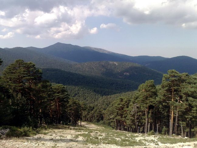 Camino SchmidtZona pista de esquí El Bosque