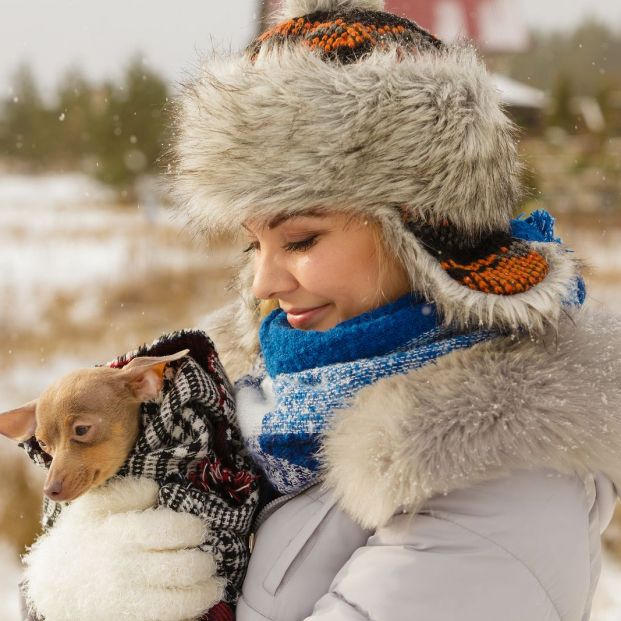 proteger perro del frío