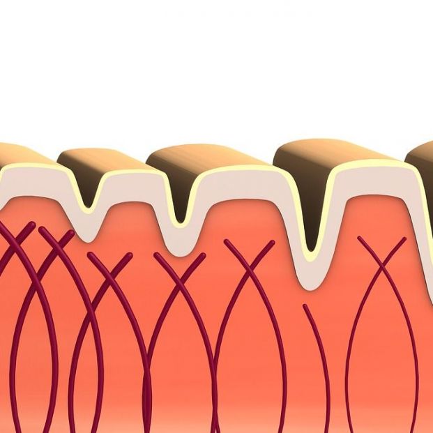 Beneficios del colágeno (Creative commons) Beneficios del colágeno (Creative commons)