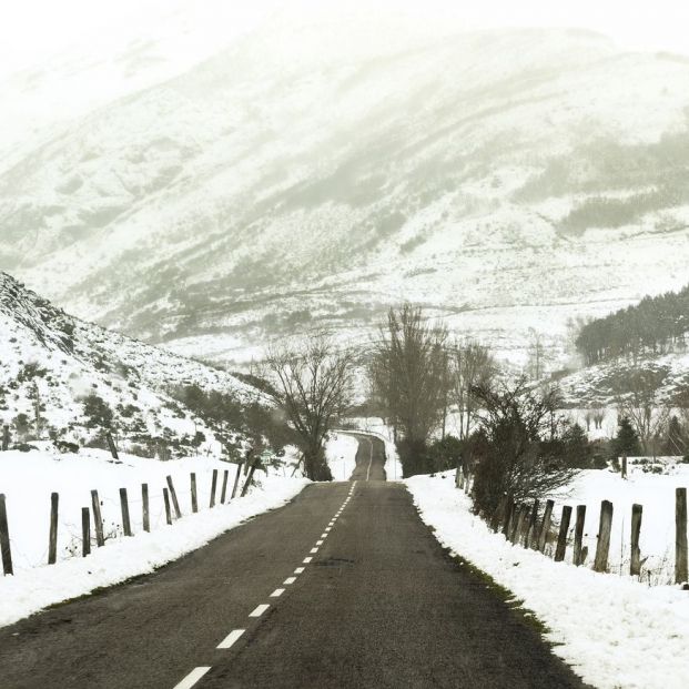 Leitariegos Leitariegos