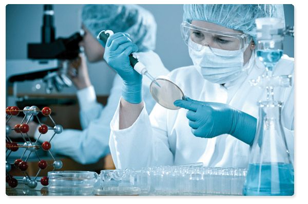 Laboratorio Laboratorio