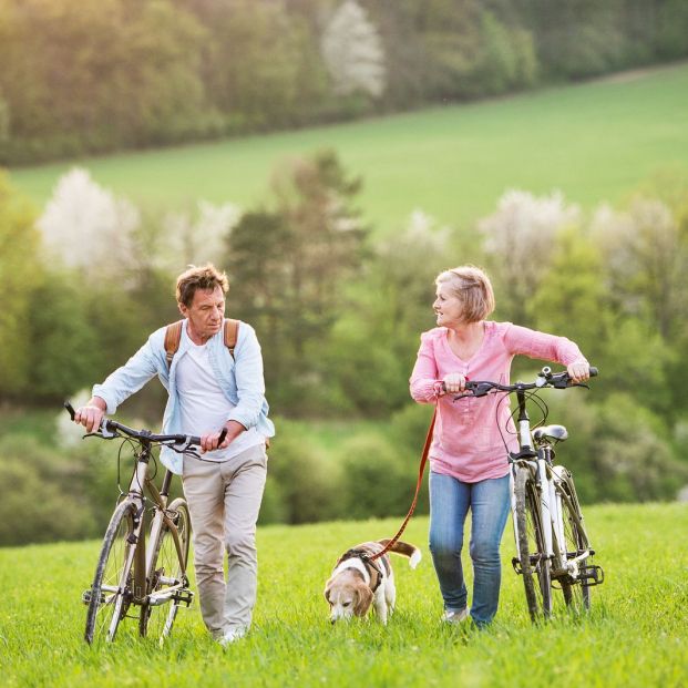 Mi perro no quiere comer Mi perro no quiere comer