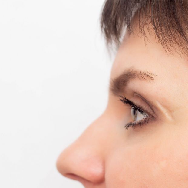 La rosa mosqueta también se usa en la cocina y estos son los beneficios para los mayores