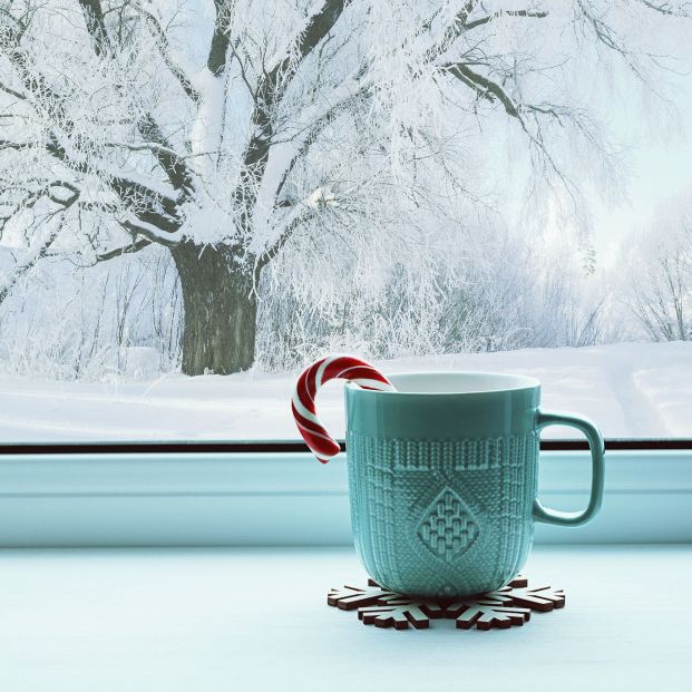 Estos son los mejores calefactores del mercado según un informe elaborado por la OCU Estos son los mejores calefactores del mercado según un informe elaborado por la OCU