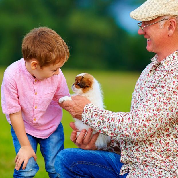 regalo cachorro nieto regalo cachorro nieto