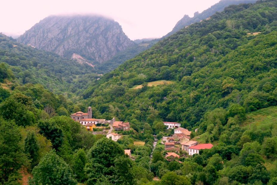 ribota de abajo ribota de abajo