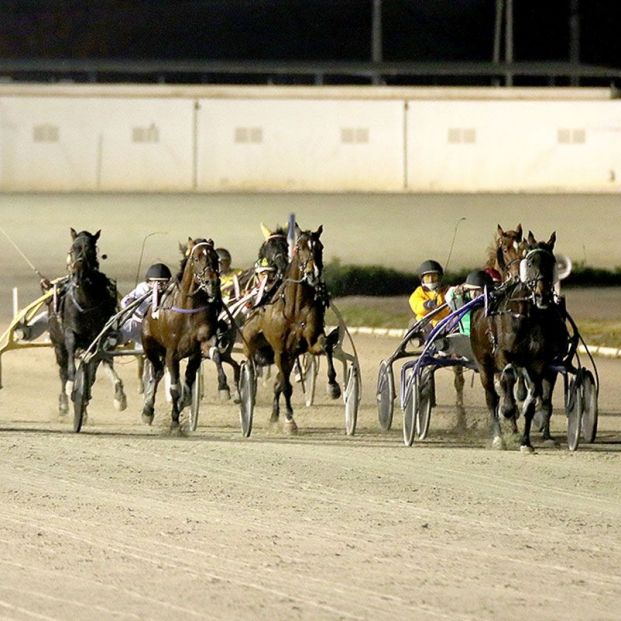Hipódromo de Son Pardo