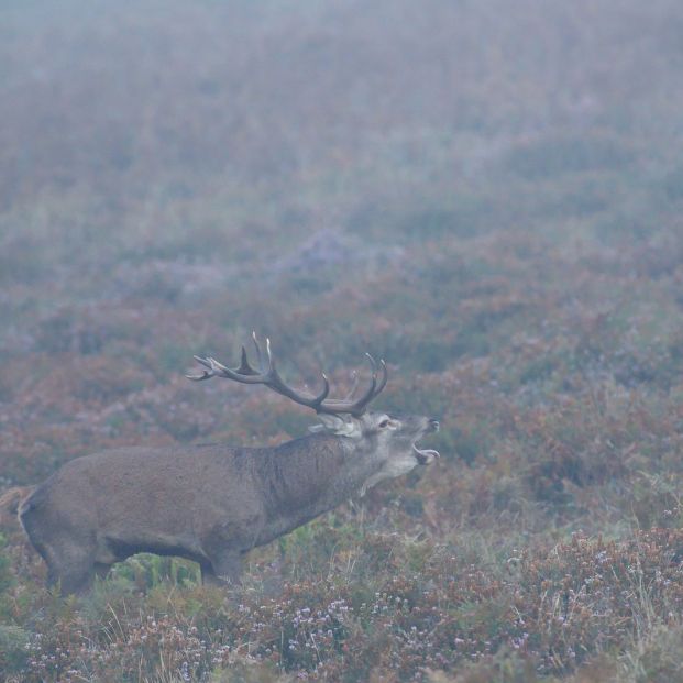 Parque Natural Gorbeia Parque Natural Gorbeia