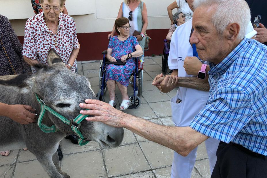 Doctor burro. Doctor burro.