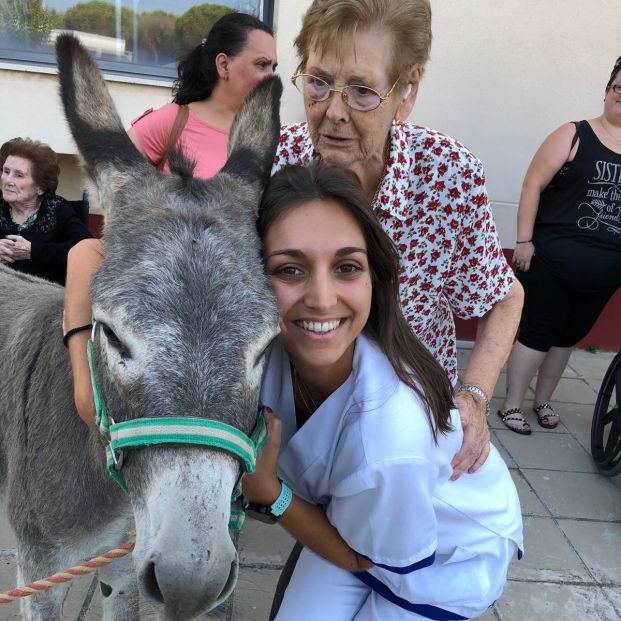 Doctor burro. Doctor burro.